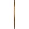 Ekena Millwork Robin Ceiling Medallion (Fits Canopies up to 6 1/4"), 22 1/4"OD x 4 3/4"ID x 1 1/4"P, Pale Gold CM22RBPAS - alternate 3